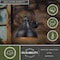 Vaxcel Delano Bronze Motion Sensor Dusk to Dawn Farmhouse Barn Dark Sky Outdoor Wall Light T0258 - alternate 8